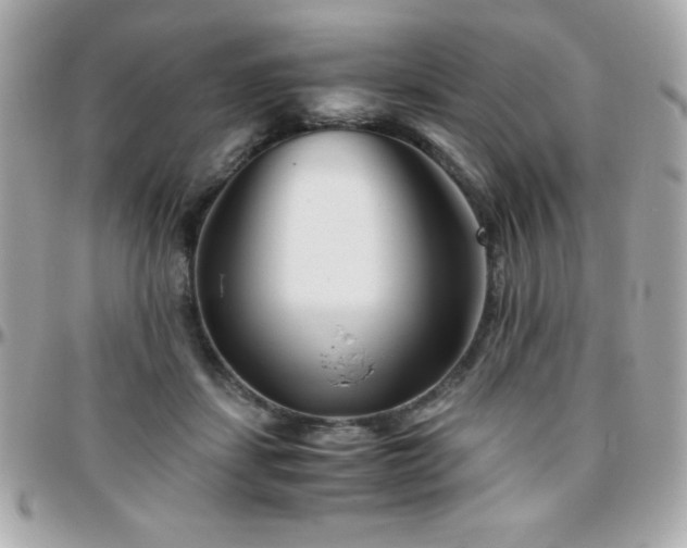 X0000096420459200801241320