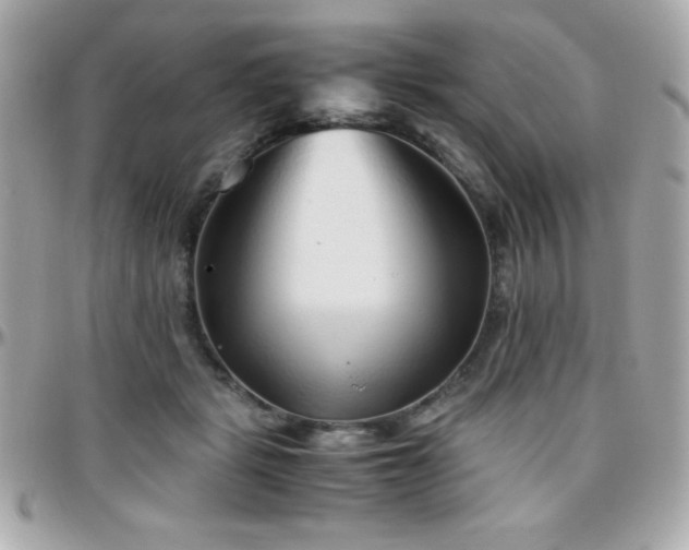 X0000096420461200801241320