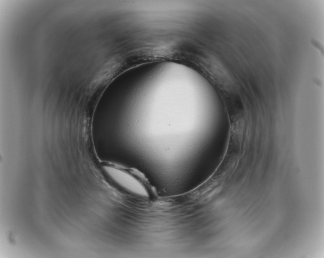 X0000096420462200801241320