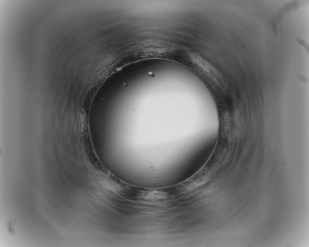 X0000096420463200801241320