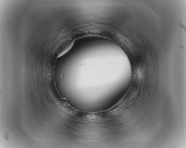 X0000096420464200801241320