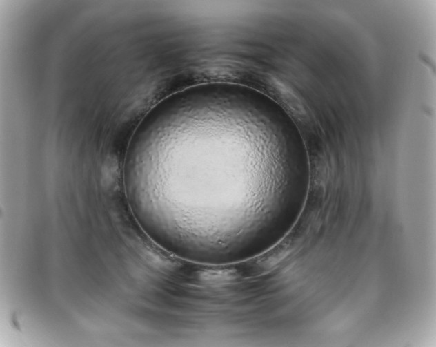 X0000096420465200801241320