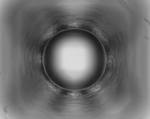 X0000096420466200801241320