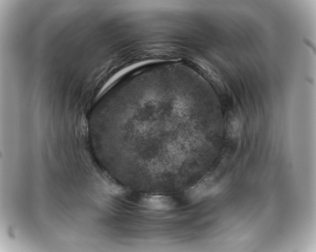 X0000096420467200801241320