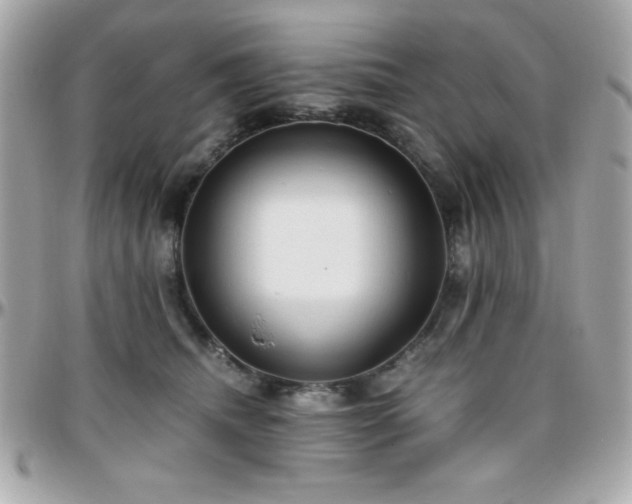 X0000096420468200801241320