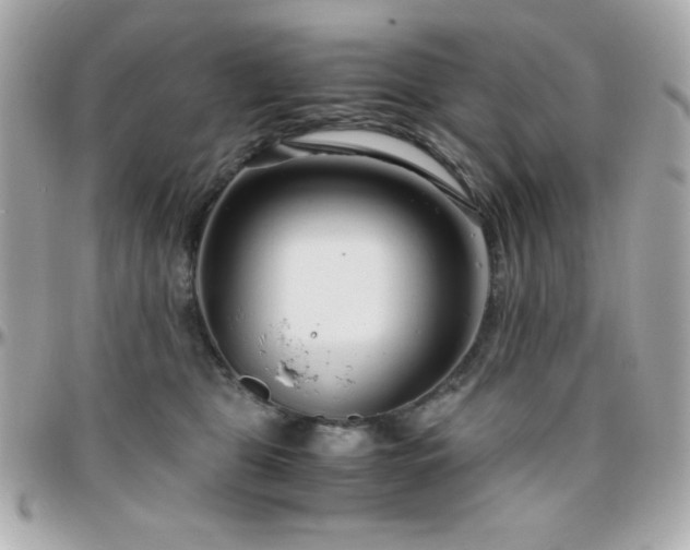 X0000096420469200801241320