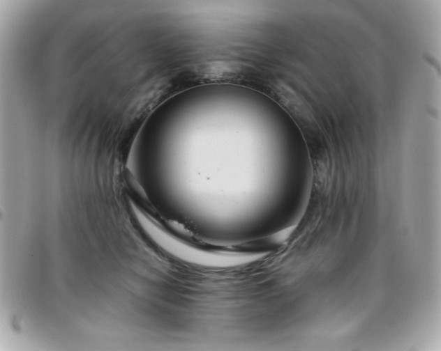 X0000096420470200801241320