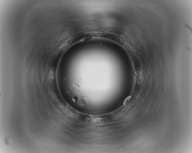 X0000096420472200801241321