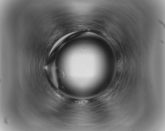 X0000096420474200801241321