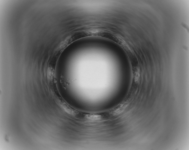 X0000096420476200801241321
