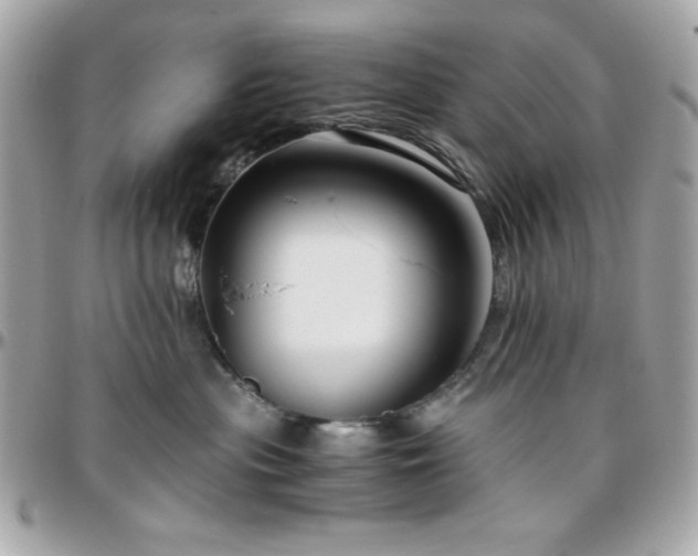 X0000096420477200801241321