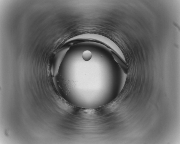 X0000096420478200801241321