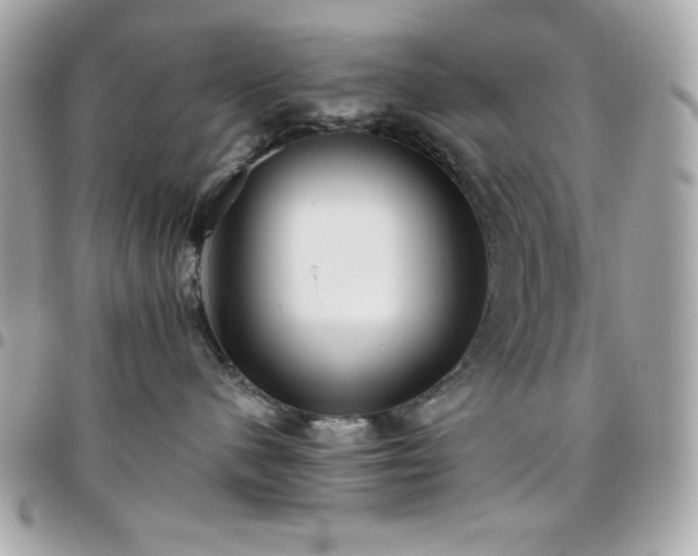 X0000096420480200801241321