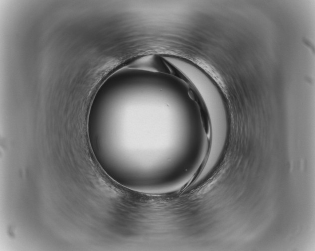 X0000096420481200801241320