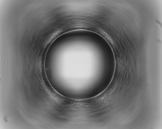 X0000096420482200801241320