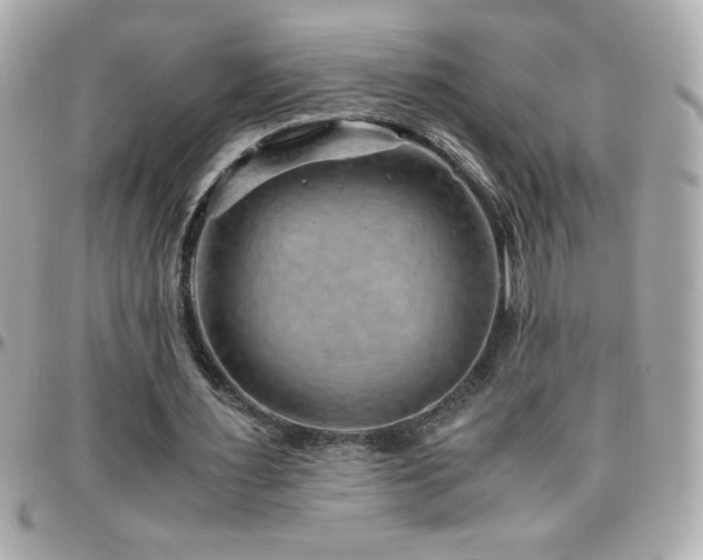 X0000096420483200801241320