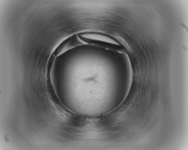 X0000096420484200801241320