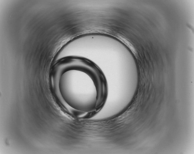 X0000096420485200801241320