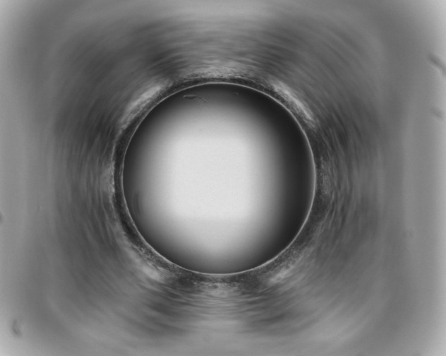 X0000096420486200801241320