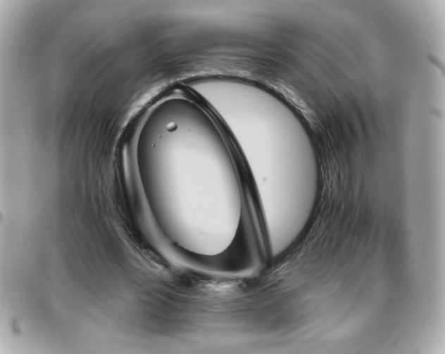 X0000096420488200801241320