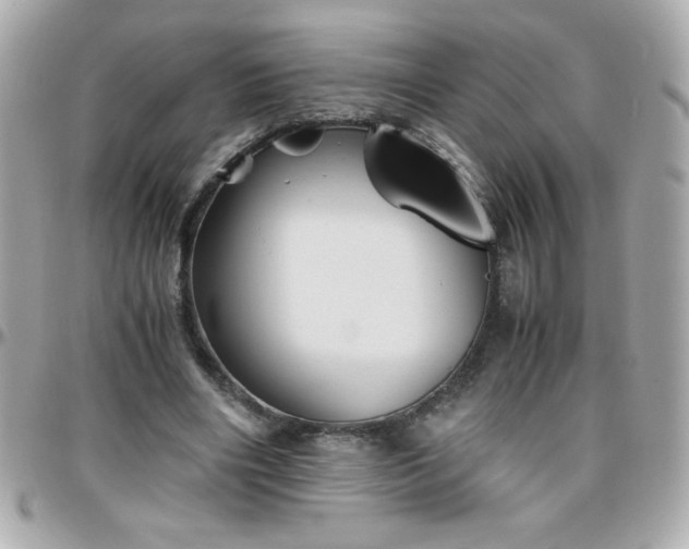 X0000096420490200801241320