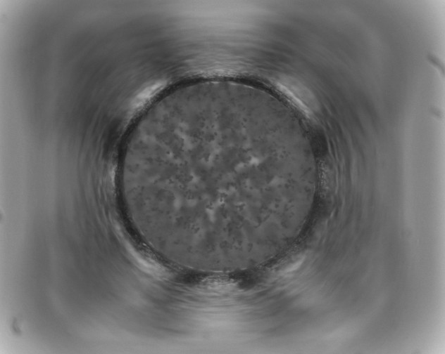 X0000096420491200801241320