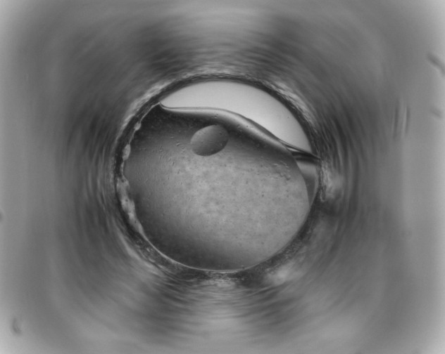 X0000096420492200801241320