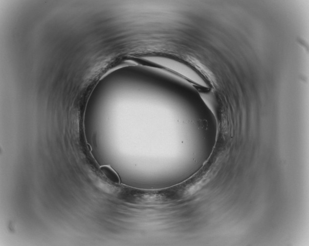 X0000096420493200801241320