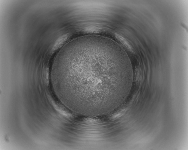 X0000096420494200801241320