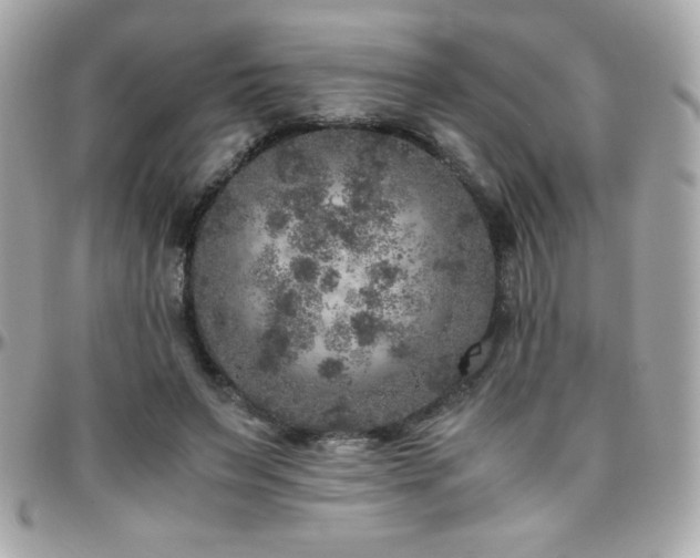 X0000096420495200801241320