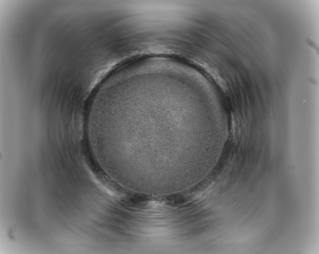 X0000096420496200801241320