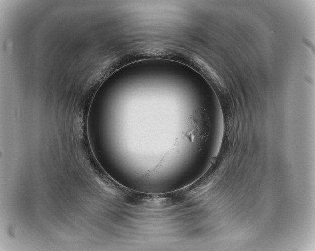 X0000096420497200801241320