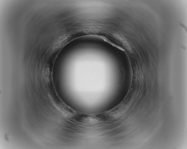 X0000096420498200801241320