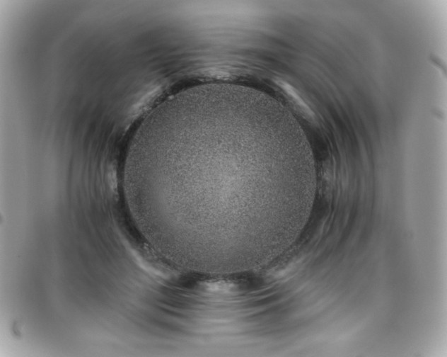 X0000096420500200801241320