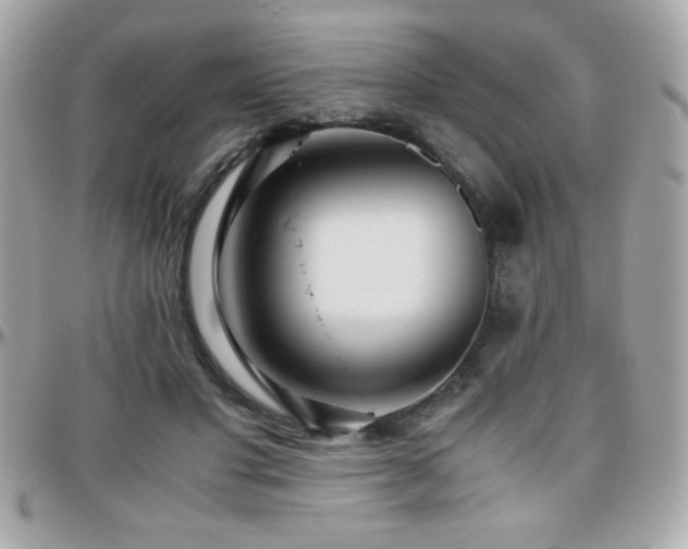 X0000096420501200801241320
