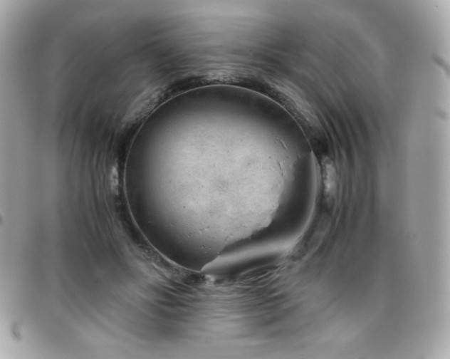 X0000096420502200801241320