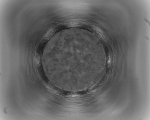 X0000096420503200801241320