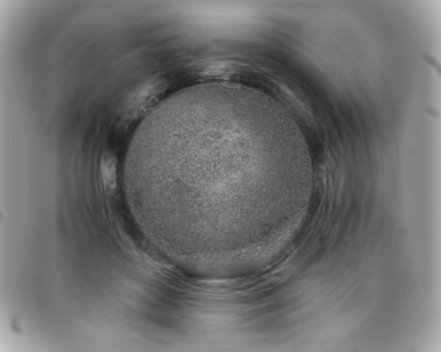 X0000096420504200801241320