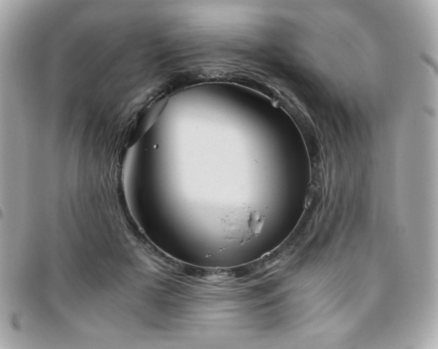 X0000096420505200801241320