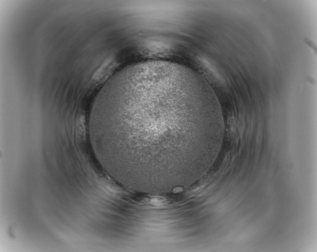 X0000096420506200801241320