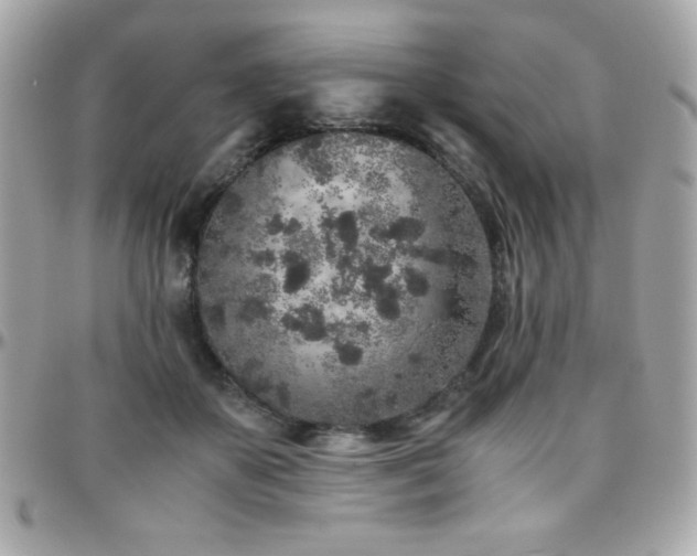 X0000096420507200801241320
