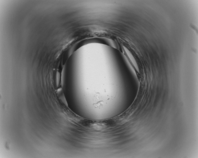 X0000096420508200801241320