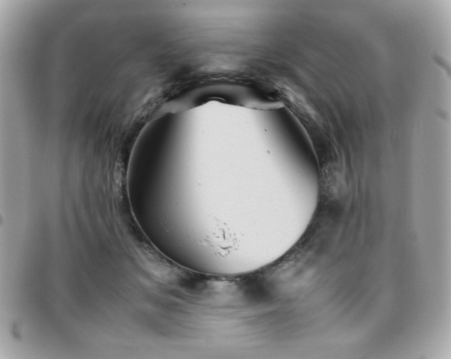 X0000096420509200801241320