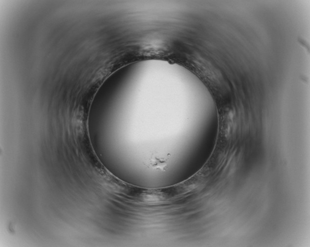 X0000096420510200801241320