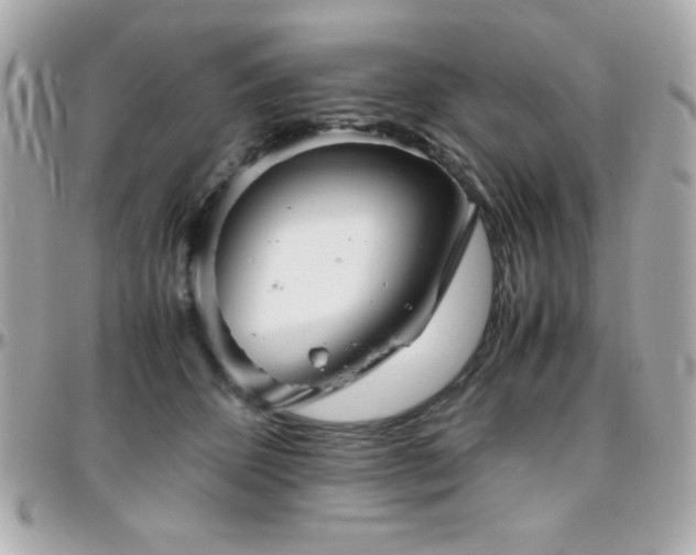 X0000096420512200801241320