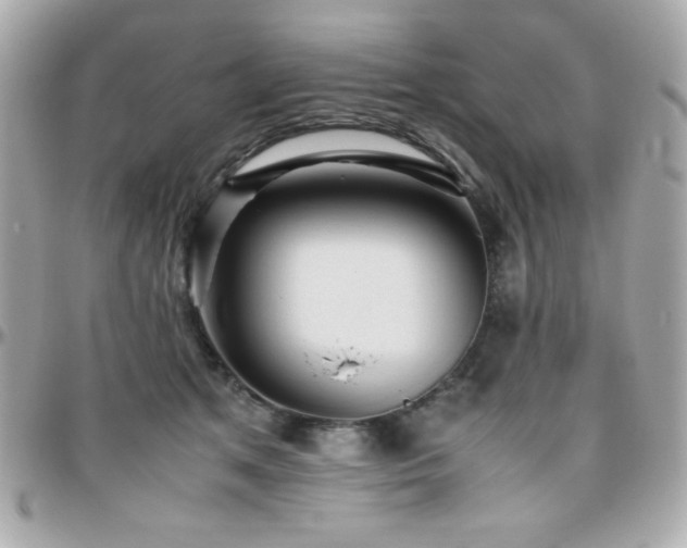 X0000096420513200801241320