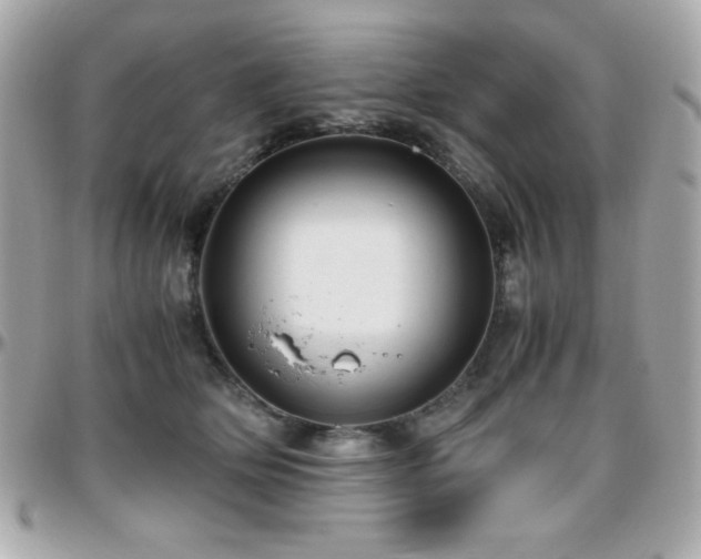 X0000096420514200801241320