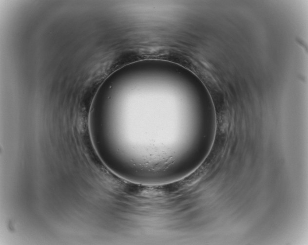 X0000096420515200801241320