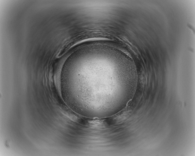 X0000096420516200801241319