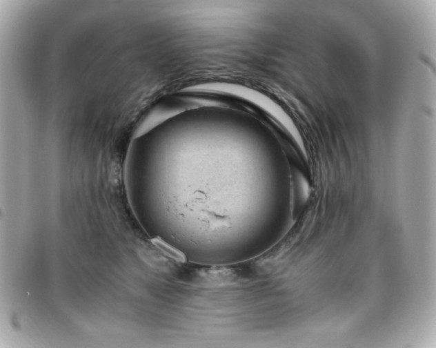 X0000096420517200801241319